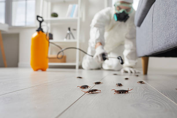 Commercial Kitchen Cockroach Control in Red Lake Falls